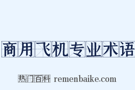 商用飞机专业术语是什么意思的图片